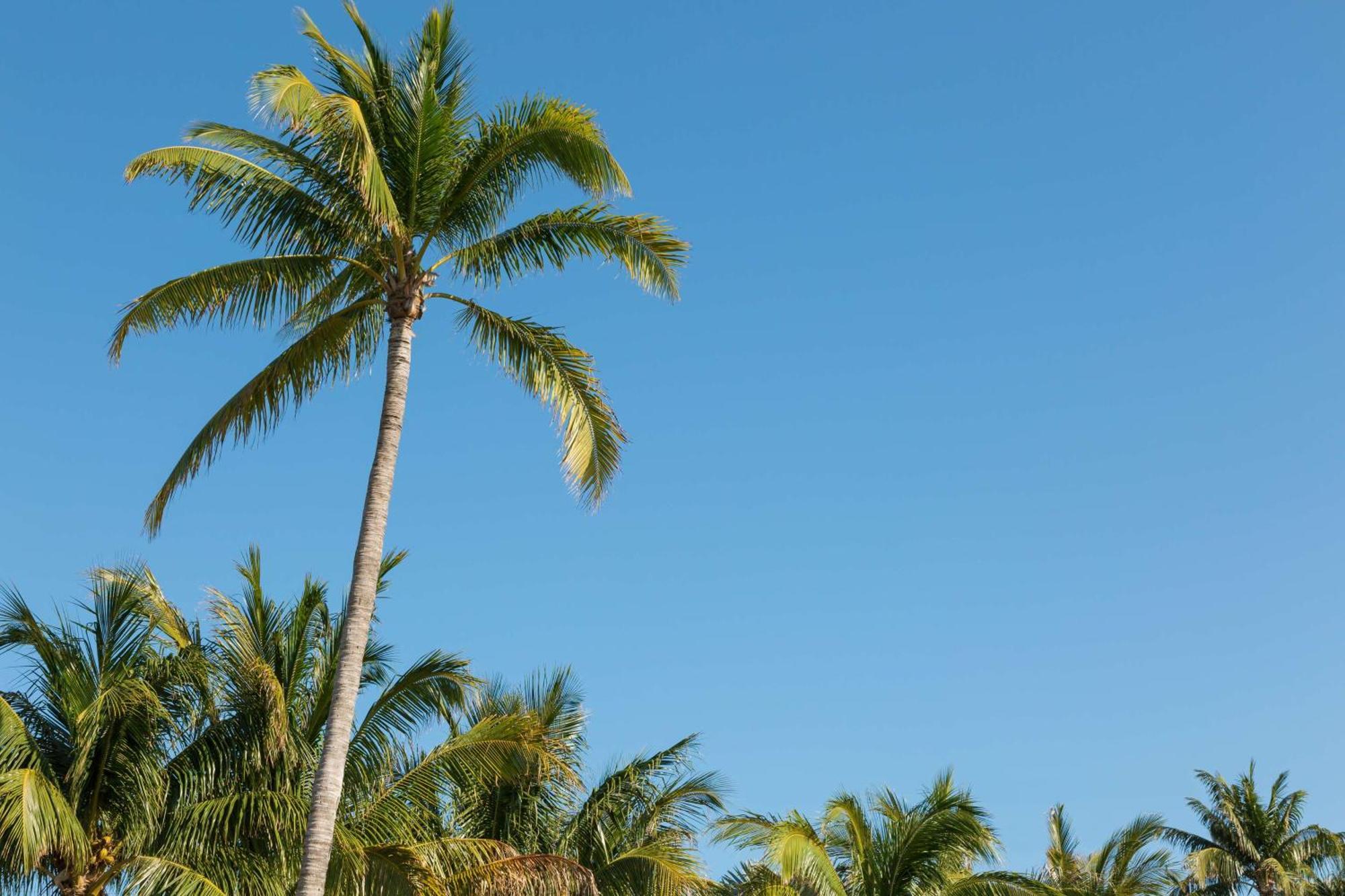 Hilton Garden Inn Key West / The Keys Collection Εξωτερικό φωτογραφία